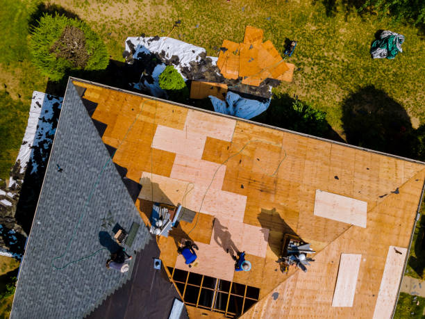 Best Metal Roofing Contractor  in Santee, SC